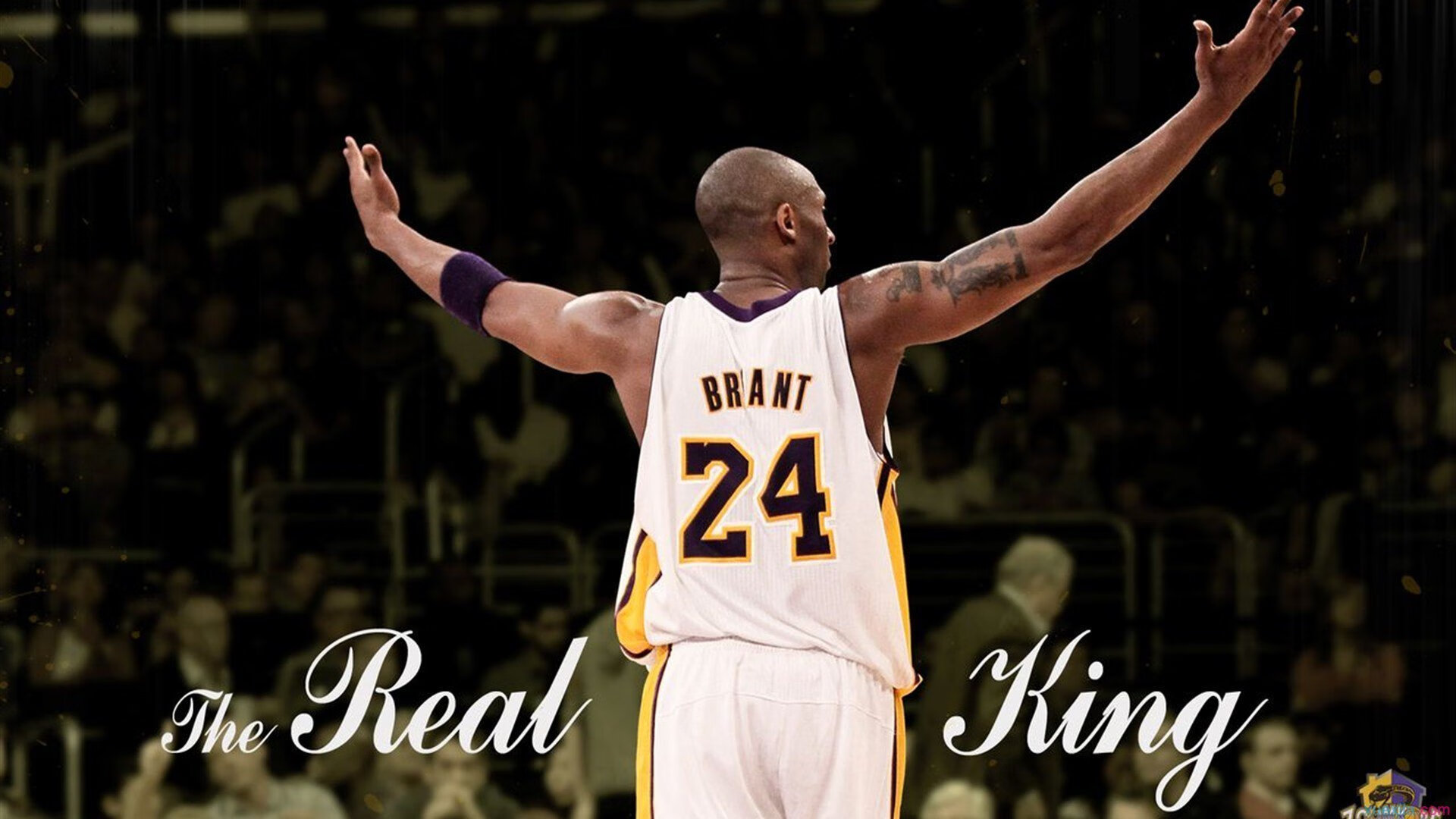 扎马莱克计划扩建主场，提升球迷体验，马扎克lg